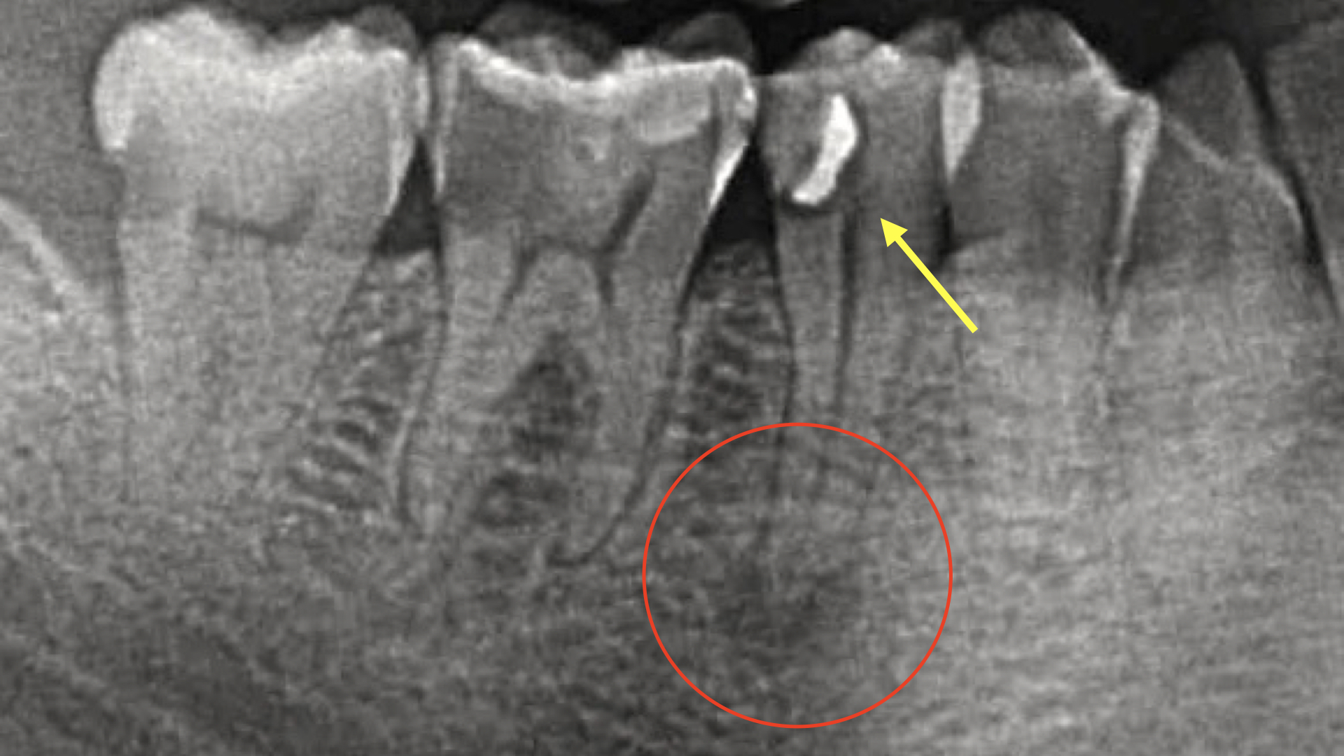 歯医者をお探しなら 枚方市の本多歯科へ 予防歯科 審美治療もお任せください 医療法人 本多歯科 受付時間 9時30分 13時 15時 19時 072 847 41 医療法人 本多歯科 ホーム 医院について ごあいさつ 院長紹介 スタッフ紹介 セブンルール 医院